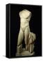 Torso of Apollo (Marble)-Roman-Framed Stretched Canvas