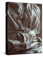 Torso of marble statue from the Capitoline Hill, Italy-Werner Forman-Stretched Canvas