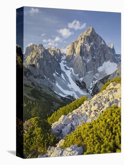 Torstein from the Sulzenhals, Dachstein Massif, Mountain Pines, Salzburg, Austria-Rainer Mirau-Stretched Canvas