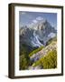 Torstein from the Sulzenhals, Dachstein Massif, Mountain Pines, Salzburg, Austria-Rainer Mirau-Framed Photographic Print