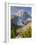 Torstein from the Sulzenhals, Dachstein Massif, Mountain Pines, Salzburg, Austria-Rainer Mirau-Framed Photographic Print