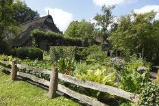 Bad Zwischenahn, Garden in the open-air museum Ammerland farmhouse-Torsten Krüger-Framed Photographic Print