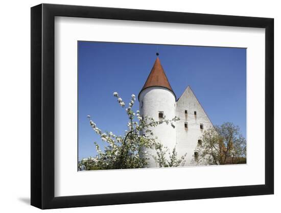 Photographic Print, , large