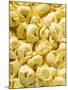 Tortellini-null-Mounted Photographic Print