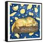 Tortilla Dream-Wendy Edelson-Framed Stretched Canvas