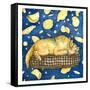 Tortilla Dream-Wendy Edelson-Framed Stretched Canvas