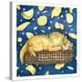 Tortilla Dream-Wendy Edelson-Stretched Canvas