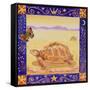 Tortoise, 1998-Vivika Alexander-Framed Stretched Canvas