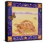 Tortoise, 1998-Vivika Alexander-Framed Stretched Canvas