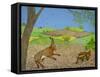 Tortoise and Hare-Pat Scott-Framed Stretched Canvas