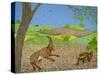 Tortoise and Hare-Pat Scott-Stretched Canvas
