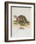 Tortoise and Lizard-null-Framed Premium Giclee Print