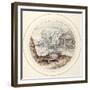 Tortoise, Early 17th Century-Crispin I De Passe-Framed Giclee Print