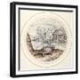 Tortoise, Early 17th Century-Crispin I De Passe-Framed Giclee Print