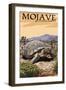 Tortoise - Mojave National Preserve, California-Lantern Press-Framed Art Print