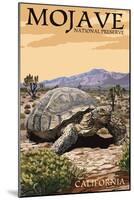 Tortoise - Mojave National Preserve, California-Lantern Press-Mounted Art Print