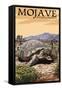 Tortoise - Mojave National Preserve, California-Lantern Press-Framed Stretched Canvas