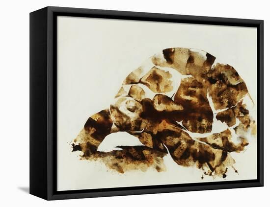 Tortoise Shell-Sydney Edmunds-Framed Stretched Canvas