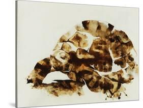 Tortoise Shell-Sydney Edmunds-Stretched Canvas