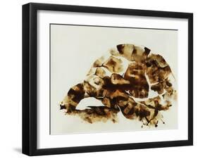 Tortoise Shell-Sydney Edmunds-Framed Giclee Print