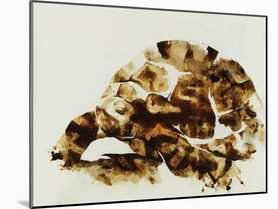 Tortoise Shell-Sydney Edmunds-Mounted Giclee Print