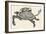 Tortoise with Stag's Head-null-Framed Giclee Print