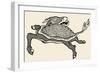 Tortoise with Stag's Head-null-Framed Giclee Print
