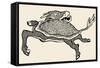 Tortoise with Stag's Head-null-Framed Stretched Canvas