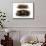 Tortoise-null-Mounted Giclee Print displayed on a wall