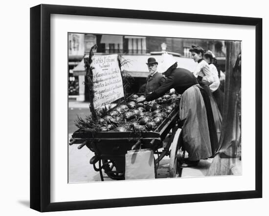 Tortoises from Africa in Paris Animal Market, 20th Century-Andrew Pitcairn-knowles-Framed Giclee Print