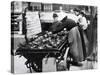 Tortoises from Africa in Paris Animal Market, 20th Century-Andrew Pitcairn-knowles-Stretched Canvas