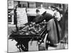 Tortoises from Africa in Paris Animal Market, 20th Century-Andrew Pitcairn-knowles-Mounted Giclee Print