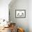 Tortoiseshell and White Persian Kittens Under-null-Framed Photographic Print displayed on a wall