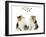 Tortoiseshell and White Persian Kittens Under-null-Framed Photographic Print