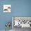 Tortoiseshell and White Persian Kittens-null-Photographic Print displayed on a wall