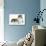 Tortoiseshell and White Persian Kittens-null-Photographic Print displayed on a wall