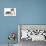 Tortoiseshell and White Persian Kittens-null-Photographic Print displayed on a wall