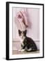 Tortoiseshell Cat Kitten with Ballet Shoes-null-Framed Photographic Print