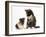 Tortoiseshell Kitten with Baby Tortoiseshell Guinea Pig-Mark Taylor-Framed Premium Photographic Print