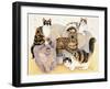 Tortoiseshell Ladies-Pat Scott-Framed Giclee Print