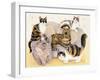 Tortoiseshell Ladies-Pat Scott-Framed Giclee Print