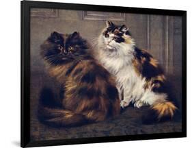 Tortoiseshell Persians-W. Luker-Framed Premium Photographic Print