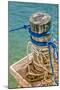 Tortola, British Virgin Islands. Nautical Ropes. Digitally Altered-Janet Muir-Mounted Photographic Print