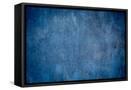 Framed Canvas