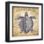 Tortue-Bruno Pozzo-Framed Art Print