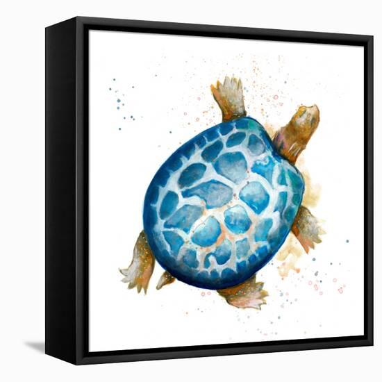 Tortuga Azul Square-Patricia Pinto-Framed Stretched Canvas