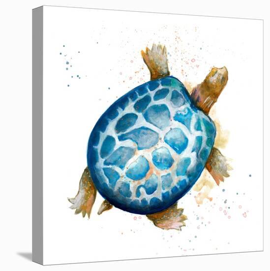 Tortuga Azul Square-Patricia Pinto-Stretched Canvas