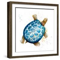 Tortuga Azul Square-Patricia Pinto-Framed Art Print