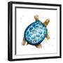 Tortuga Azul Square-Patricia Pinto-Framed Art Print