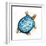 Tortuga Azul Square-Patricia Pinto-Framed Art Print